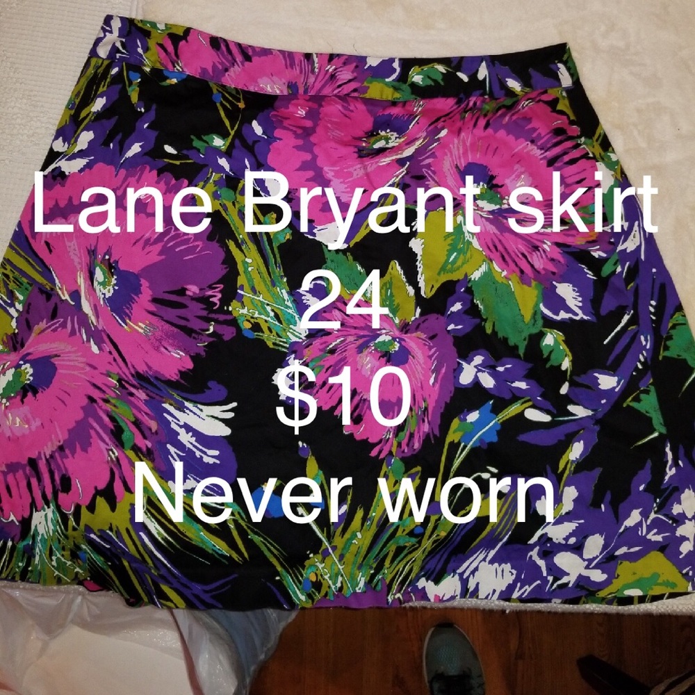 BEAUTIFUL Lane Bryant skirt never worn
